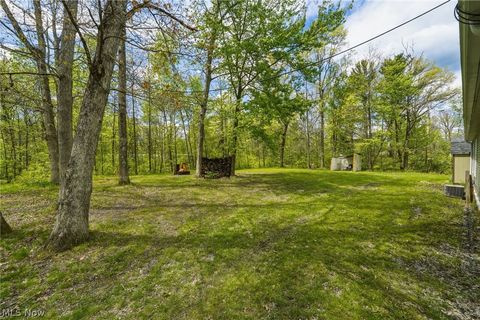 Tiny photo for 4613 N Lake Road, West Farmington, OH 44491 (MLS # 5210556)