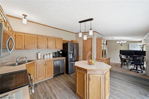 Tiny photo for 4613 N Lake Road, West Farmington, OH 44491 (MLS # 5210556)