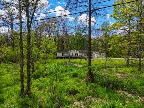 Tiny photo for 4613 N Lake Road, West Farmington, OH 44491 (MLS # 5210556)