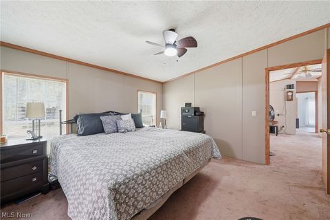 Tiny photo for 4613 N Lake Road, West Farmington, OH 44491 (MLS # 5210556)