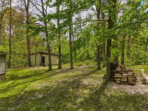 Tiny photo for 4613 N Lake Road, West Farmington, OH 44491 (MLS # 5210556)
