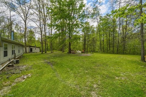 Tiny photo for 4613 N Lake Road, West Farmington, OH 44491 (MLS # 5210556)