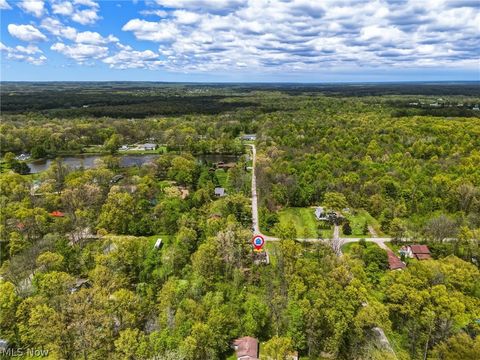 Tiny photo for 4613 N Lake Road, West Farmington, OH 44491 (MLS # 5210556)