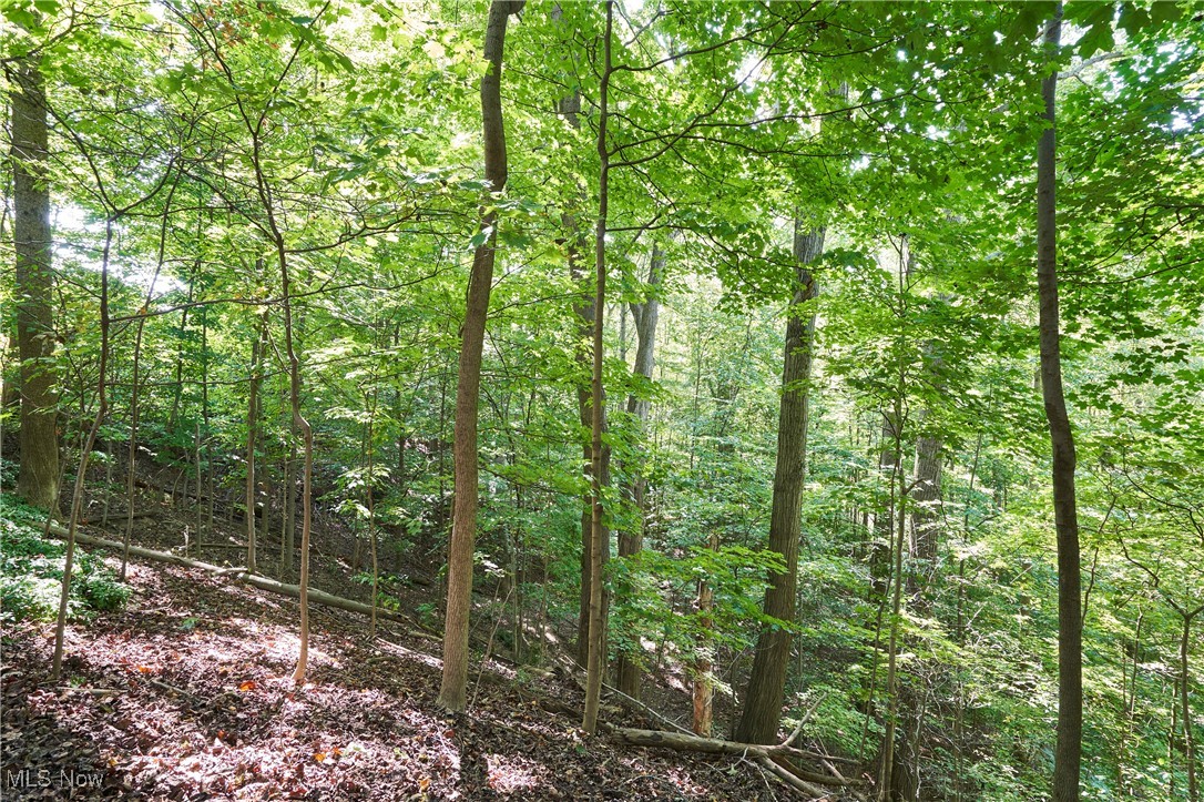 Bath, Ohio 44333, United States, 5 Bedrooms Bedrooms, ,5 BathroomsBathrooms,Residential,Contingent,207875