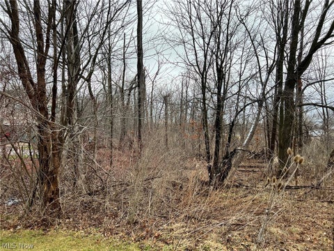 Photo for 15604-REAR Boston Road