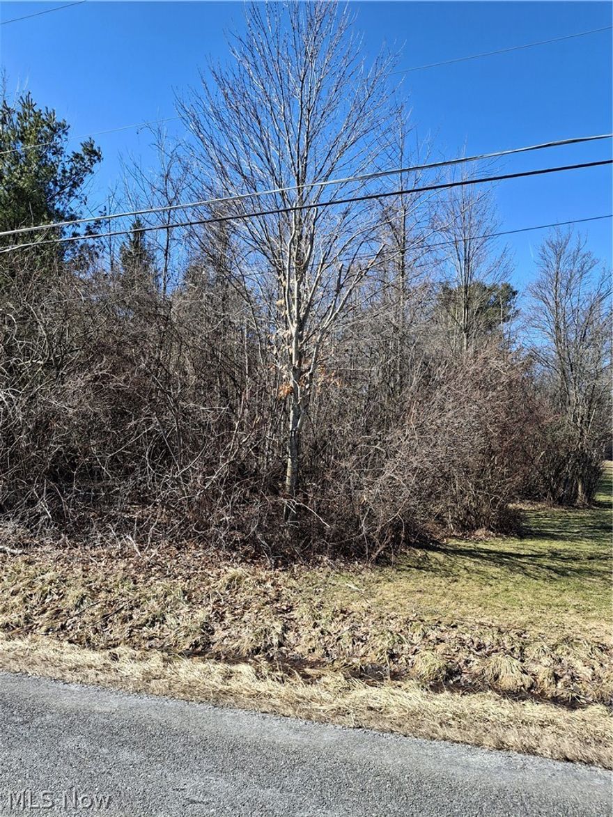 Vacant Land awaiting someone's future dream home. Mature Trees, and space to grow.  Currently no driveway.