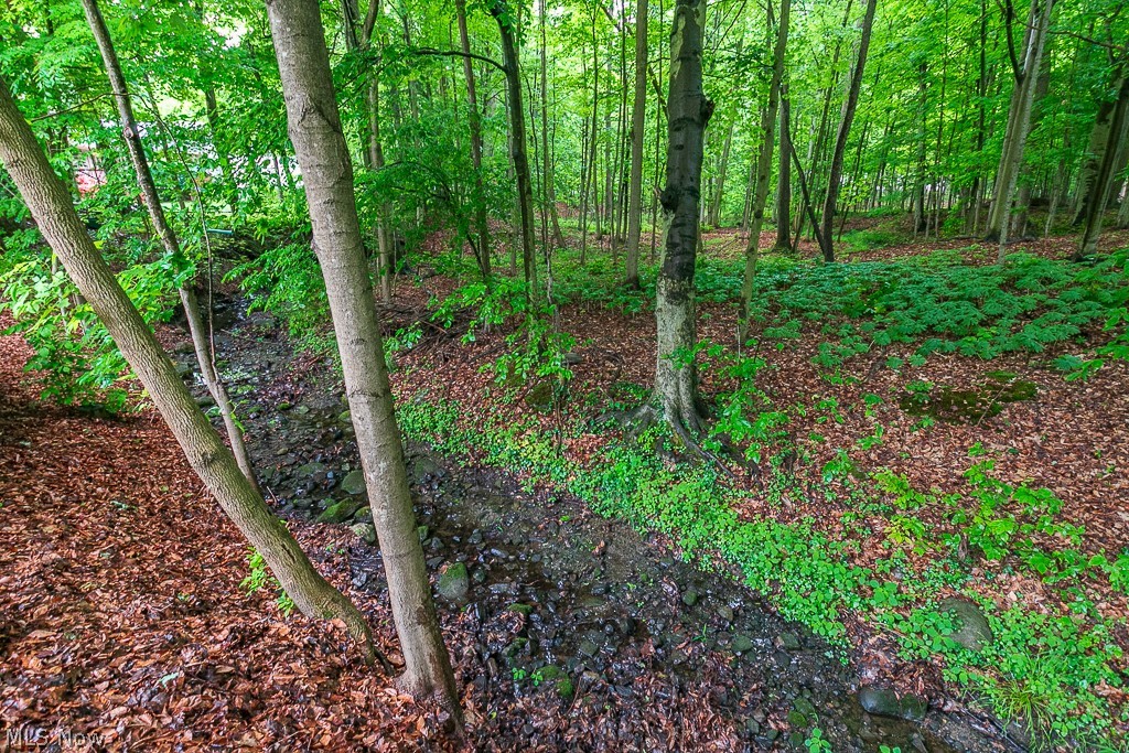 Mayfield Acres - Residential