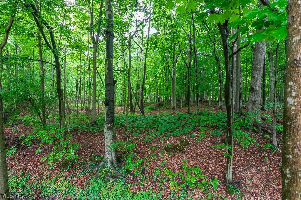 Mayfield Acres - Residential