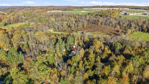 Tiny photo for 42216 State Route 154, Lisbon, OH 44432 (MLS # 5254574)