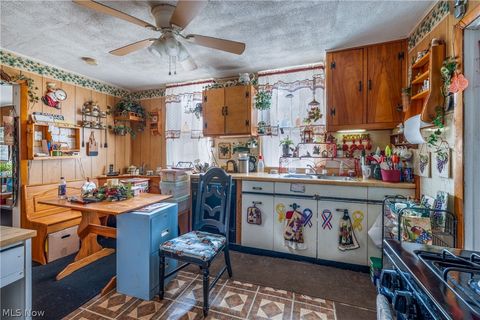 Tiny photo for 3180 W 46th Street, Cleveland, OH 44102 (MLS # 5187932)