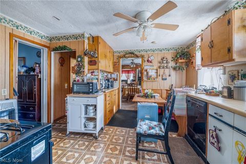 Tiny photo for 3180 W 46th Street, Cleveland, OH 44102 (MLS # 5187932)