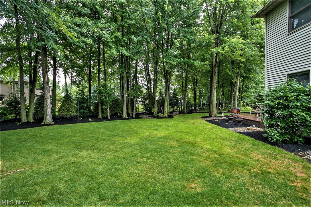 Red Tail - Residential