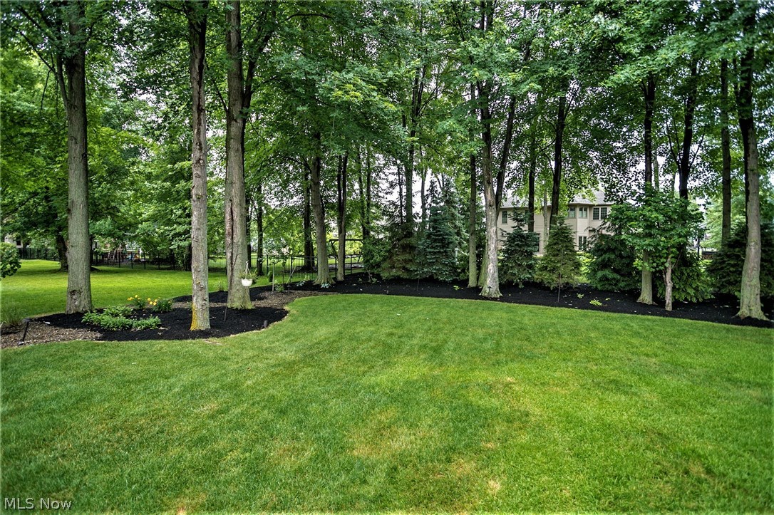 Red Tail - Residential