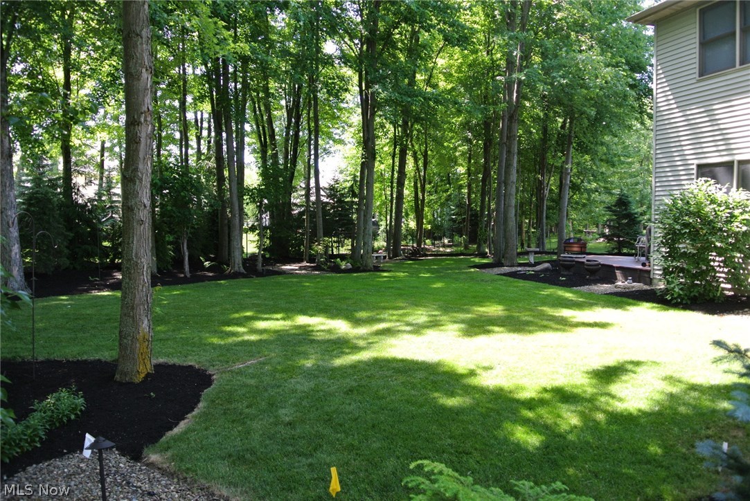 Red Tail - Residential