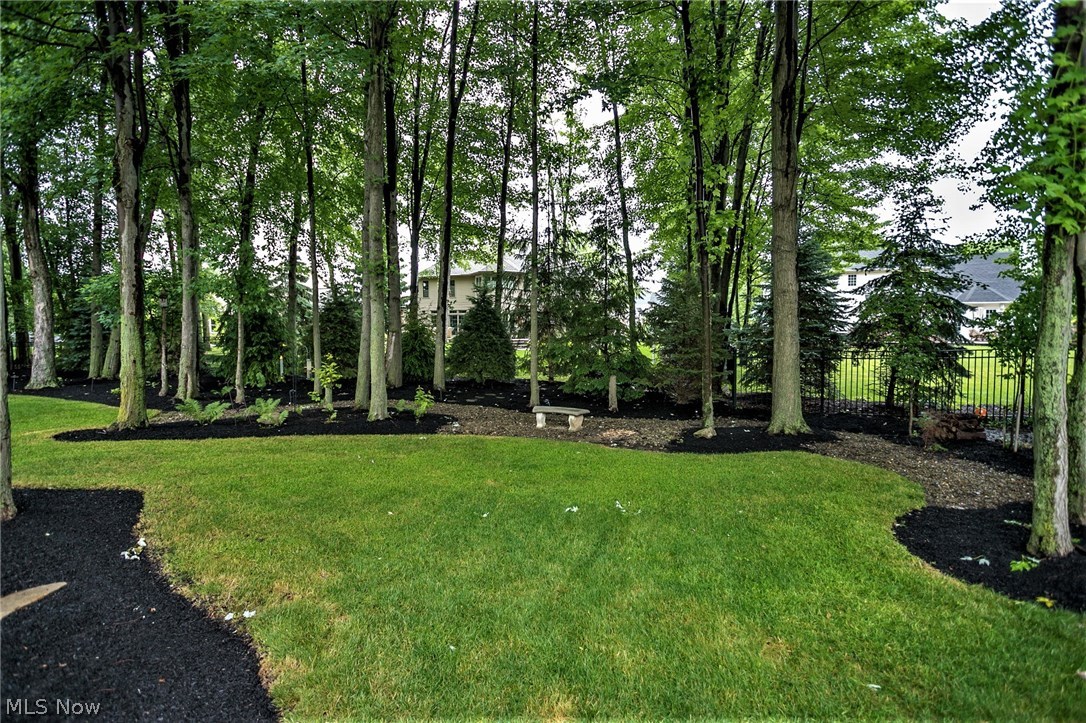 Red Tail - Residential