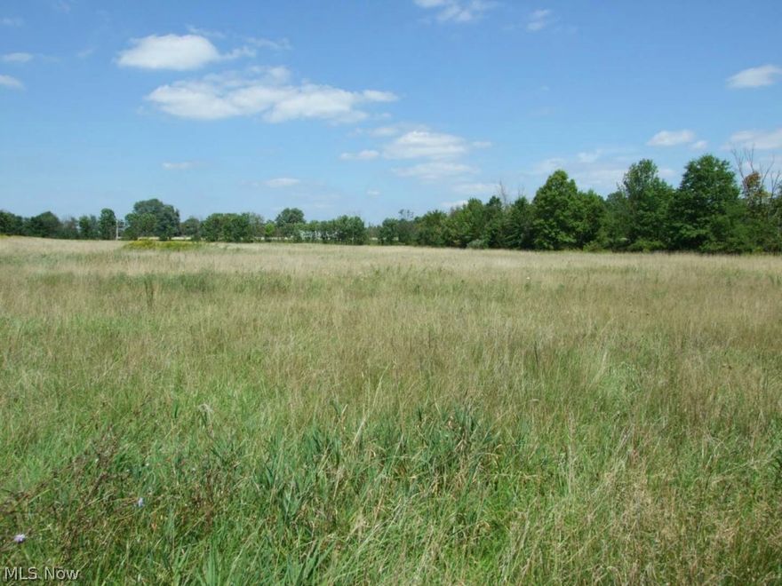 Sells on location on WEDNESDAY - OCTOBER 22, 2014 at 4:30PM.  15.51 Acres Open and Tillable Land W/Minerals - Braceville Twp. - Trumbull County, Ohio.  Real Estate: Nice laying 15.51 acres of open and tillable land currently in grass hay. All minerals owned by the seller to transfer subject to leases of record. Lots of opportunity, comes look it over! Taxes $306.83 per half year.  **TERMS ON REAL ESTATE: 15% down auction day, balance due at closing. A 10% Buyer’s premium will be added to the highest bid to establish the purchase price.  Any desired inspections must be made prior to bidding. All information contained herein was derived from sources believed to be correct.