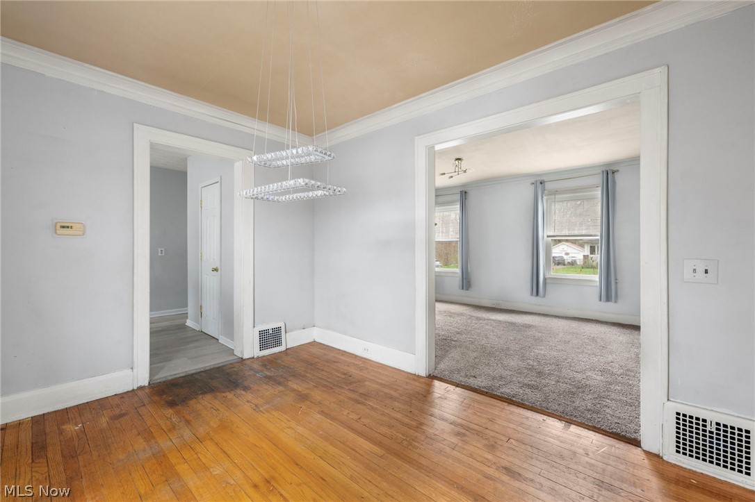 Urbanhurst Allotment - Residential