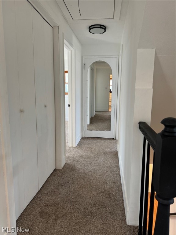 Euclid Park Estates - Residential