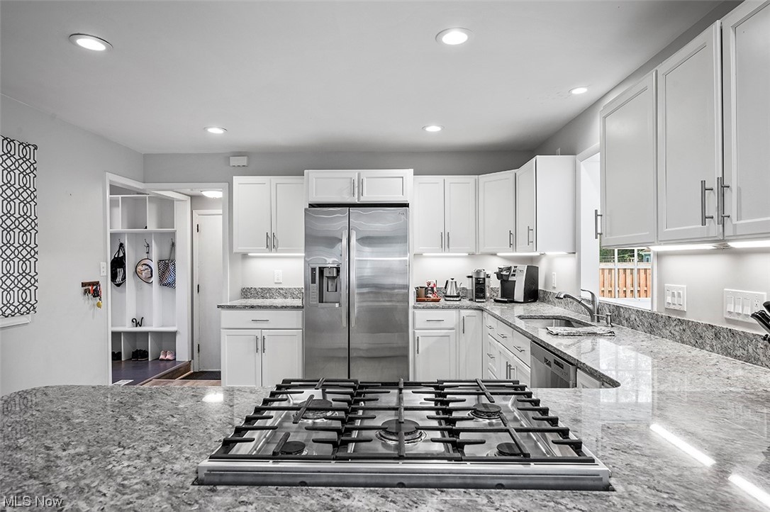 Wilson Mills Colony 02 - Residential