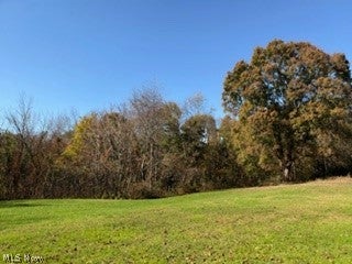 Tiny photo for St Jacob Logtown Road, Lisbon, OH 44432 (MLS # 5254899)
