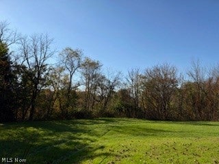 Photo of St Jacob Logtown Road, Lisbon, OH 44432 (MLS # 5254899)