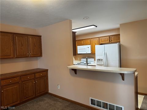 Tiny photo for 2457 Barrington Way #326, Wooster, OH 44691 (MLS # 5220808)