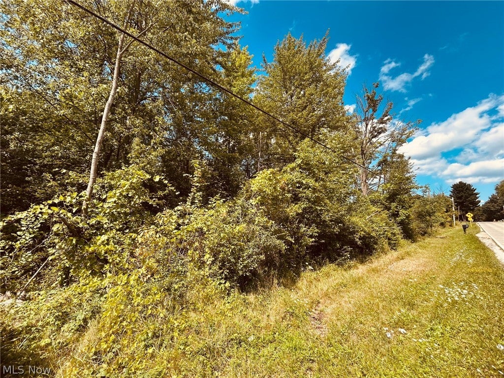 Lake Road