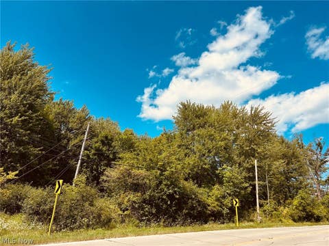 Vacant Land For Sale - Lake Road<br/> Medina, OH 44256