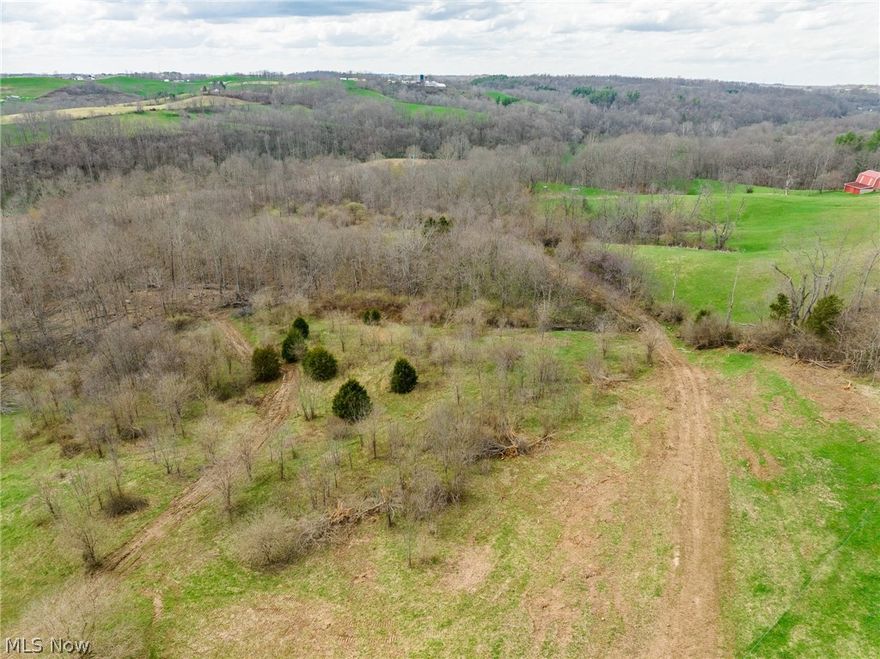Onsite auction Friday, May 8th at 12:00 PM. Parcel 1 is 20 acres with 650’ frontage on Townsend Rd, this parcel is open and wooded and has a nice building spot as well as wooded area that is sure to please for hunting purposes.
