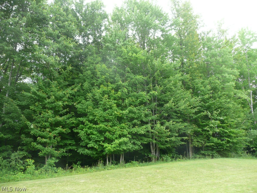 Scenic Vly Reserves - Land