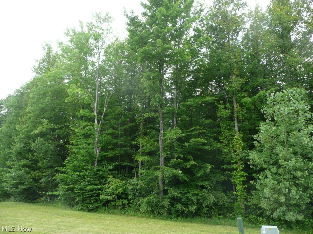 Scenic Vly Reserves - Land