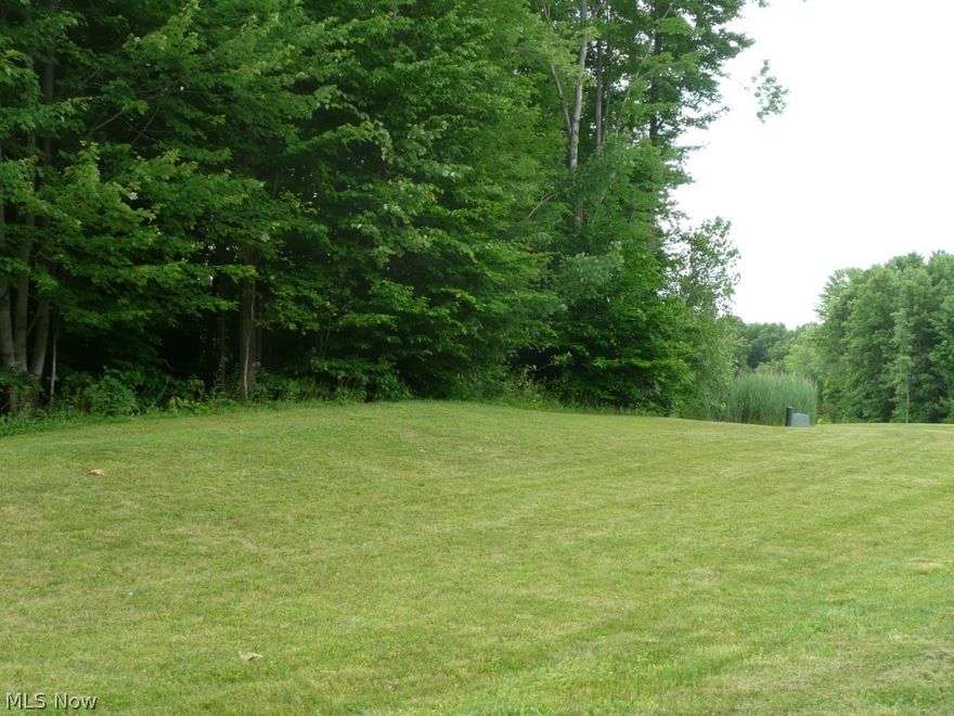 Welcome to 667 Overlook Drive located in the Scenic Valley Reserves. This gorgeous wooded property is in a scenic neighborhood with elegant homes. A multi dimensional 1.5 acre lot with lots of building possibilities. This lot is located on a cul-de-sac, so road traffic is minimal. Rear of lot slopes gently toward a beautiful ravine offering great vistas and lots of privacy. A perfect setting for your next home. Hurry, this is one of the last lots left in this upscale development!