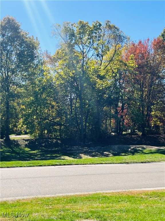 Blendon Ridge - Residential