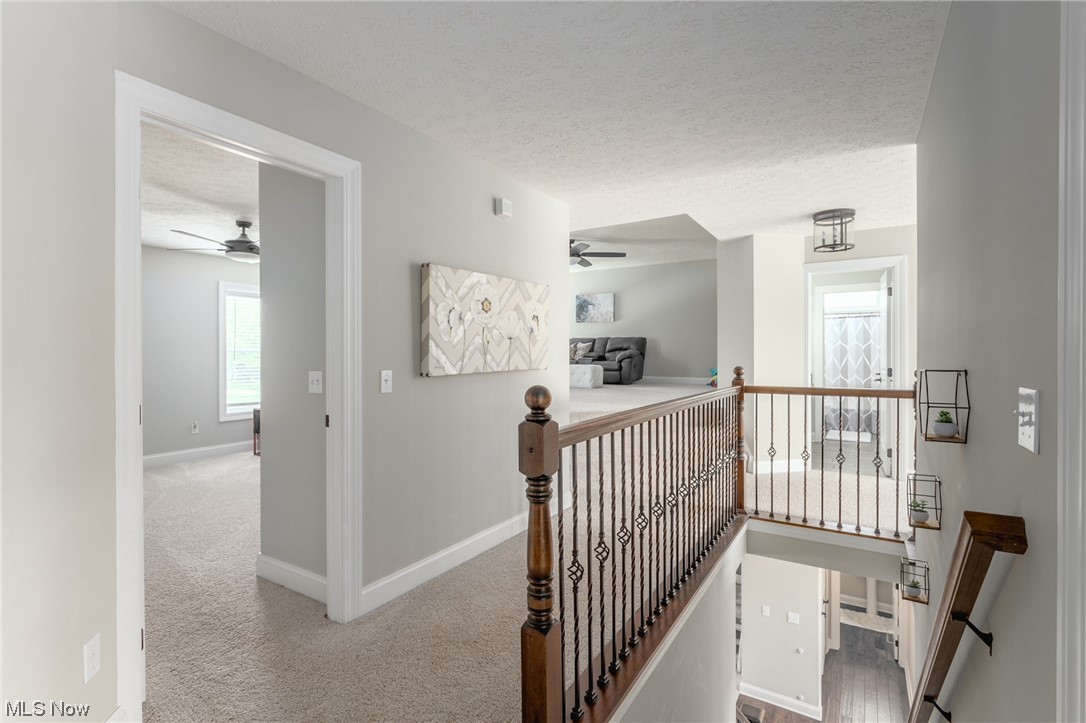 West Chase Landings - Residential