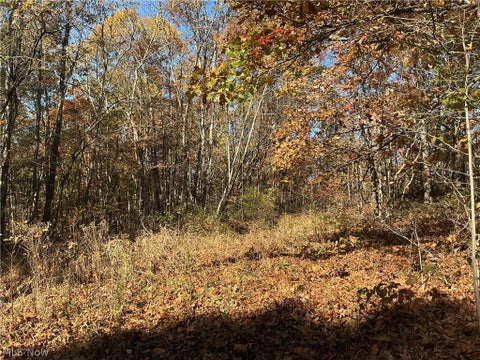 Photo of Okey Road, Chandlersville, OH 43727 (MLS # 5257316)