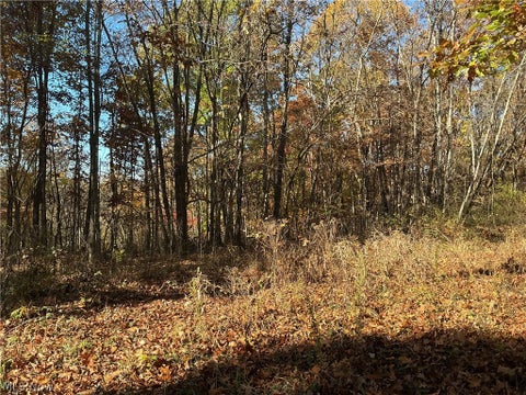 Tiny photo for Okey Road, Chandlersville, OH 43727 (MLS # 5257316)