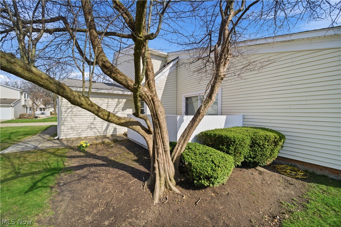 Big Turtle II Condo - Residential