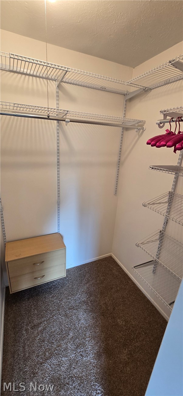 Big Turtle II Condo - Residential