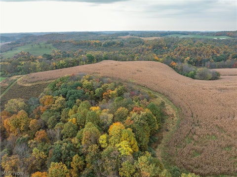 Tiny photo for 7733 Elliott Road, Newcomerstown, OH 43832 (MLS # 5253870)