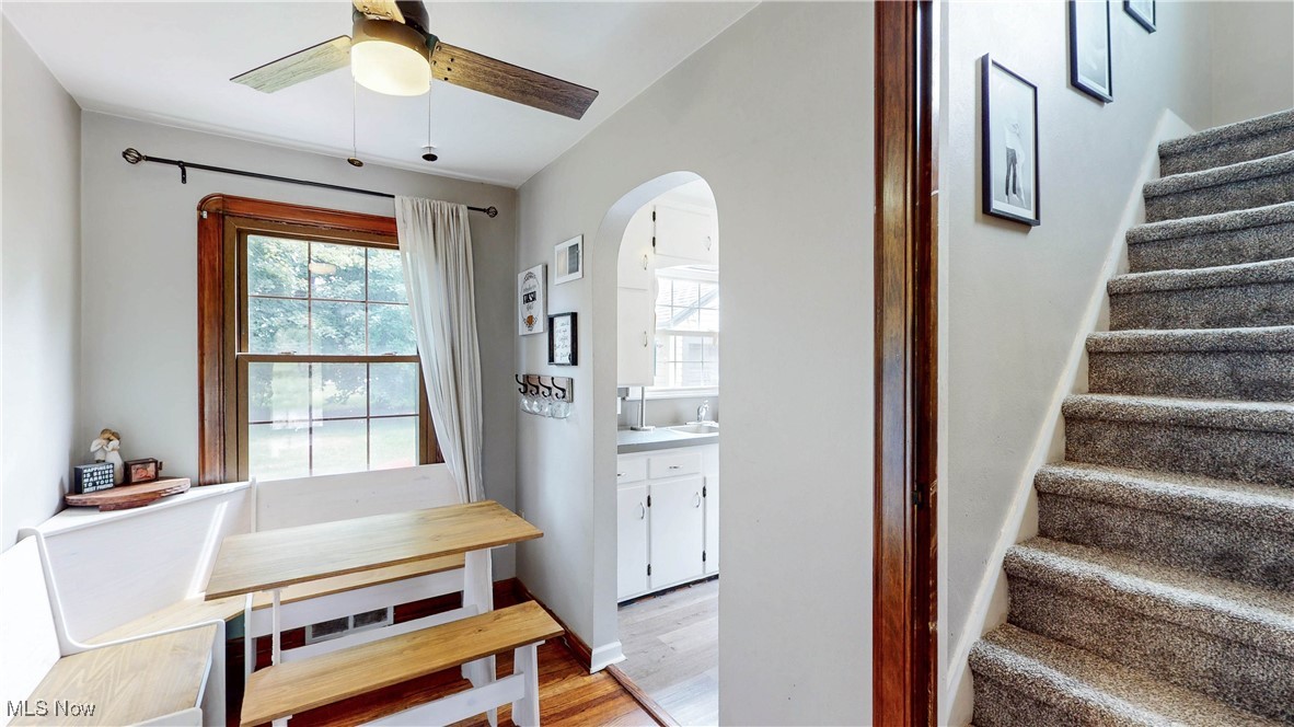 East Lawn Allotment - Residential