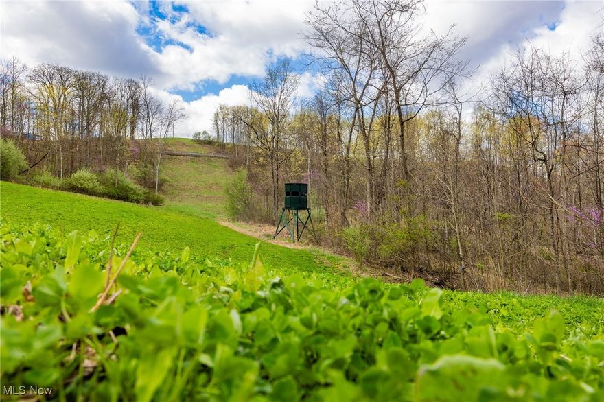 Auction Opportunity – 76 Acres in Prime Hunting Country offering the perfect setup for hunters, investors, or those looking to build their dream retreat. The 76-acre parcel is a true hunting paradise with tons of road frontage, a camper, pole barn, 2 blinds, food plots, and well-maintained trails throughout and comes with direct access to over 2,700 acres of public hunting land right across the road! Buy one or buy the lot beside it as well for a total of 91 acres featuring 3 blinds, multiple cabin sites, and endless access. Located in the highly sought-after Caldwell, Dexter City, and Lower Salem area—known for giant whitetails and consistent land appreciation, this property is a unique, proven investment you don’t want to miss. Build, hunt, or invest—opportunities like this don’t come around often! This would be Parcel 2: 76 Acres with camper, 2 Blinds, Food Plot and Pole Barn all in a highly sought after area.