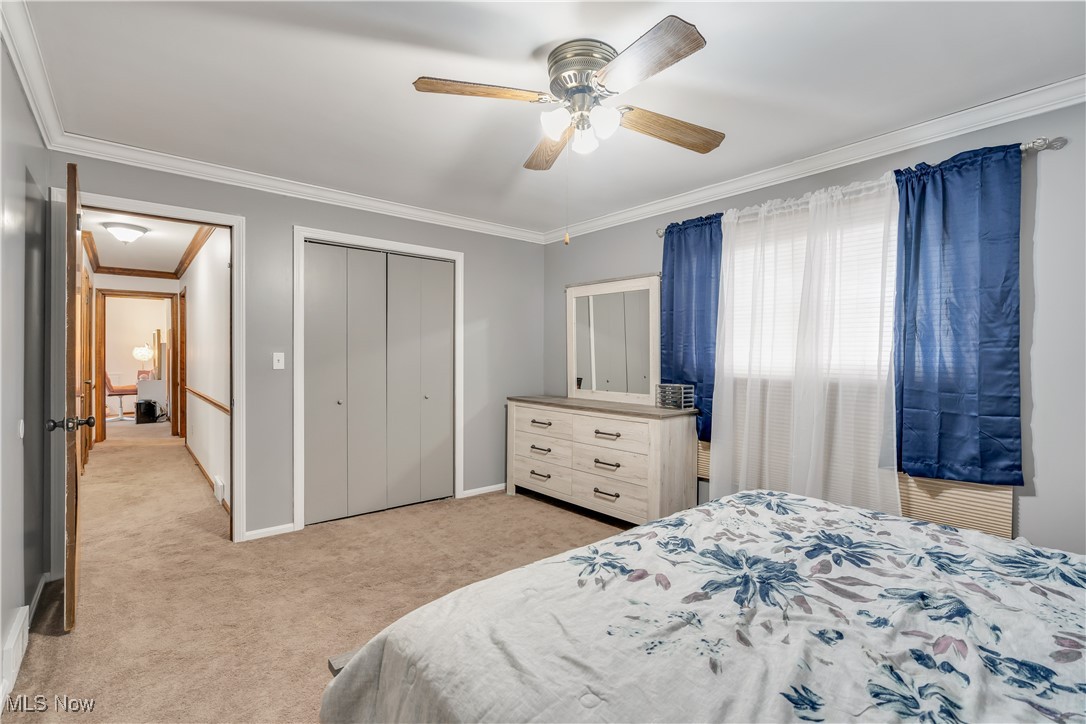 Hitchcock Woods - Residential