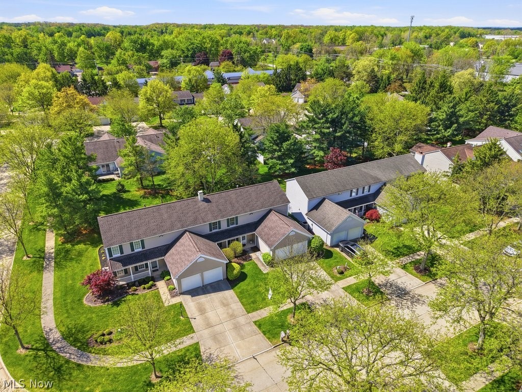 Springfield Commons - Residential