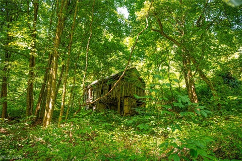 Tiny photo for 27339 Tabor Ridge Road #1, Caldwell, OH 43724 (MLS # 5245499)