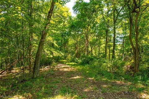 Tiny photo for 27339 Tabor Ridge Road #1, Caldwell, OH 43724 (MLS # 5245499)