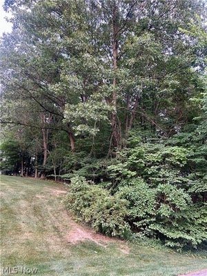 91 ONEIDA TRL, MALVERN, OH 44644 - Image dfed1636a7295e9dd09f831fd7f8ff72/82907608