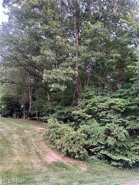 Vacant Land For Sale - 91 Oneida Trail<br/> Carroll County, Malvern, OH 44644