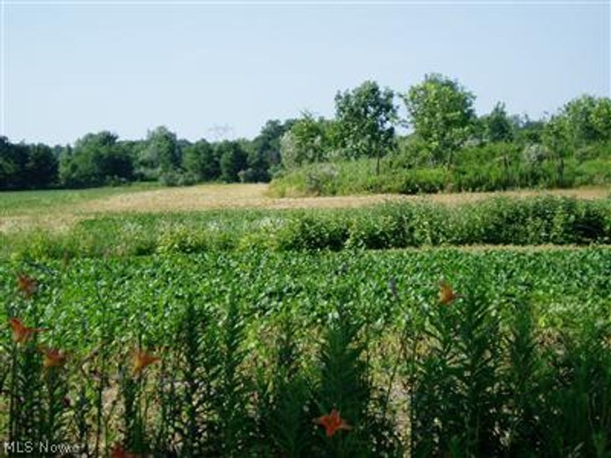 Great location for your country lot.  Area of nice homes.  Use your builder.  Water available at street.
Owner willing finance, ask about terms.