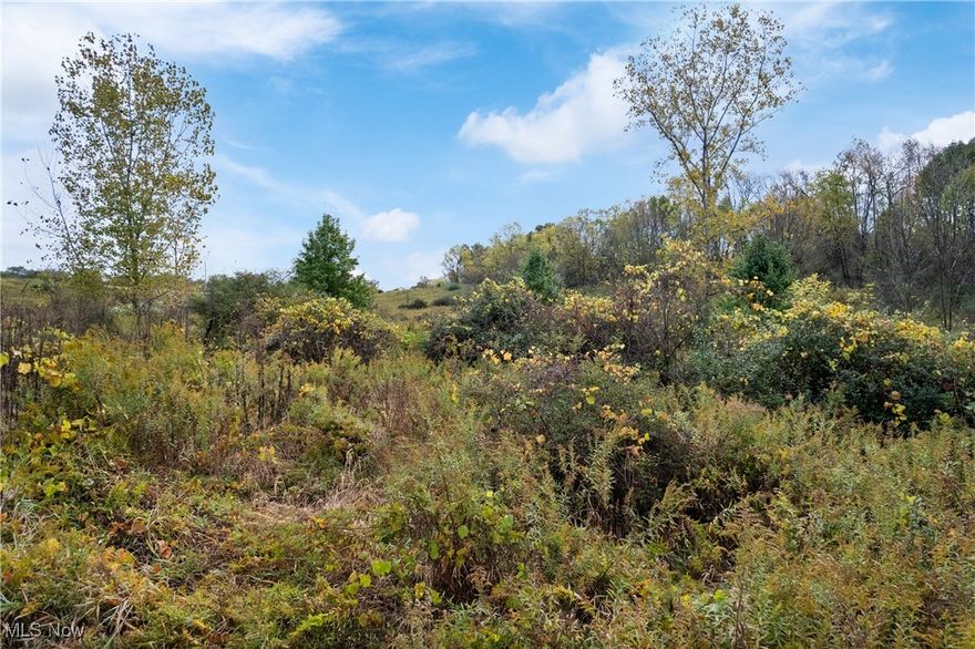 Discover endless possibilities with this 5.4-acre parcel located just South of Wooster. This versatile property offers an excellent opportunity for residential or commercial development, with utilities conveniently available at the road. A shared driveway is already in place, making access simple and secure. The land provides a peaceful setting while remaining close to town amenities, major roadways, and local businesses. Whether you're looking to build your dream home, establish a new business, or invest in future growth, this property offers exceptional potential. Please contact an agent to schedule a private showing before walking the property.