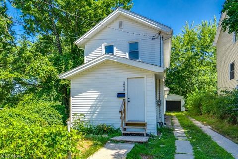 Homes For Sale - 1213 Smithfarm Avenue<br/> Akron, OH 44305